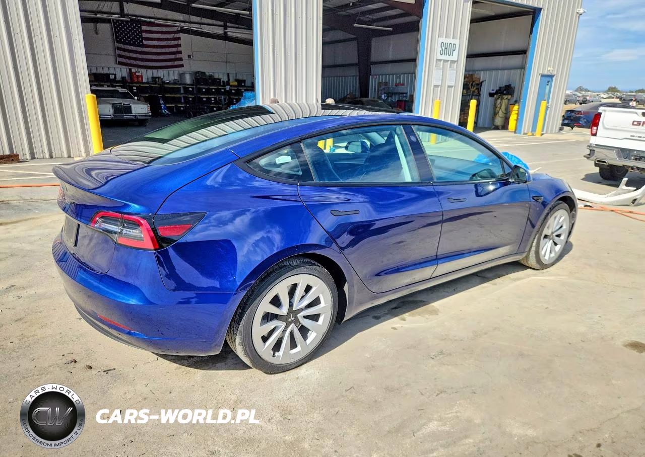 2023 Tesla Model 3 VIN:5YJ3E1EA6PF449961 - 3