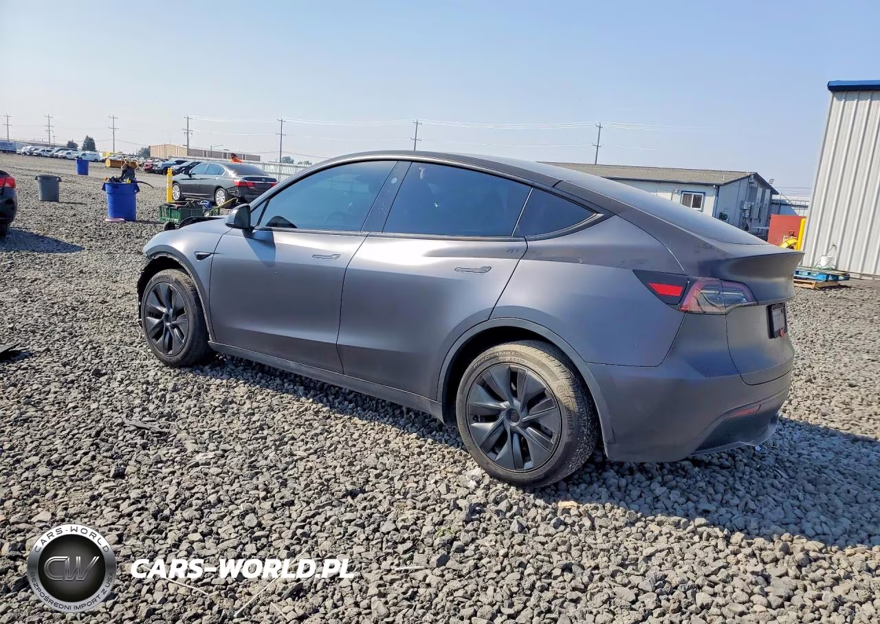 2024 Tesla Model Y VIN:7SAYGDEE2RF116893 - 2