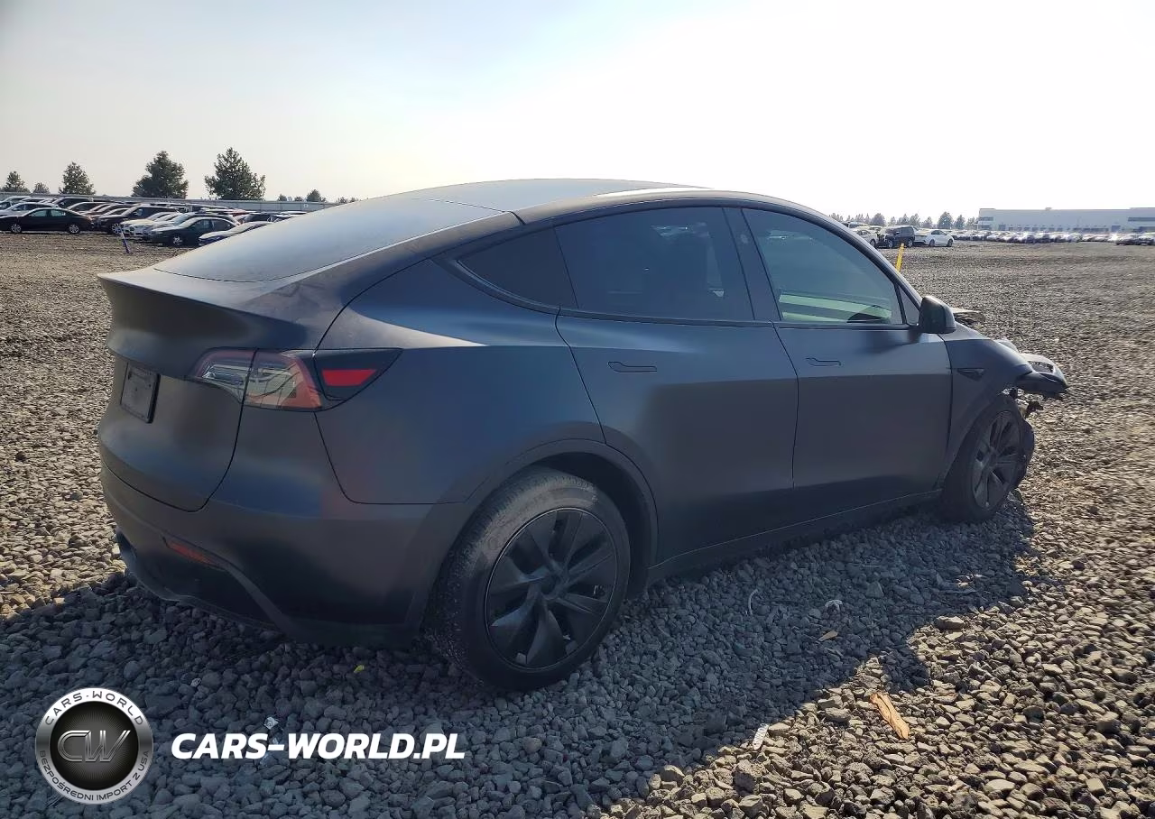 2024 Tesla Model Y VIN:7SAYGDEE2RF116893 - 3