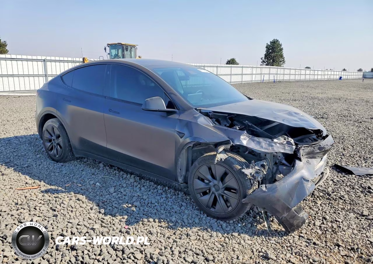 2024 Tesla Model Y VIN:7SAYGDEE2RF116893 - 4