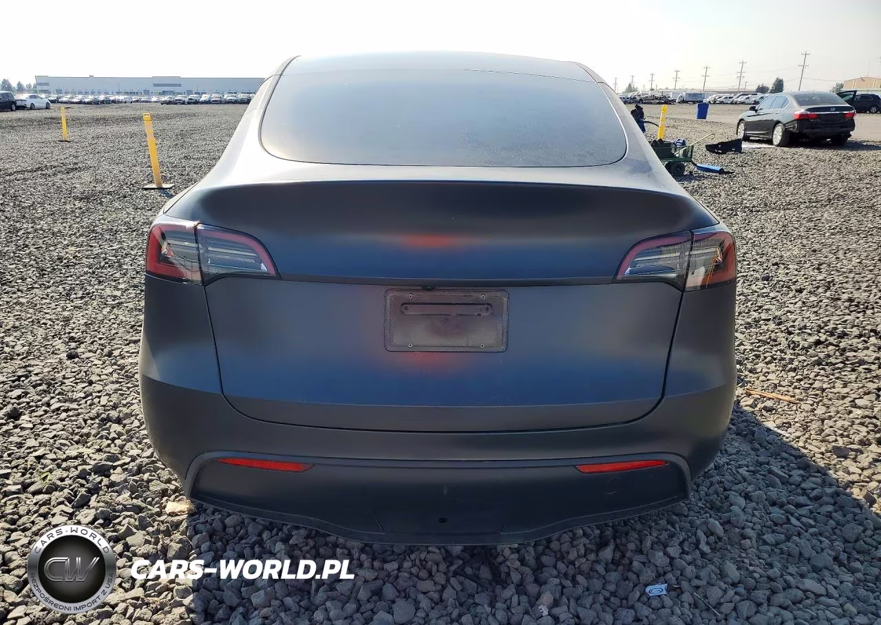 2024 Tesla Model Y VIN:7SAYGDEE2RF116893 - 6