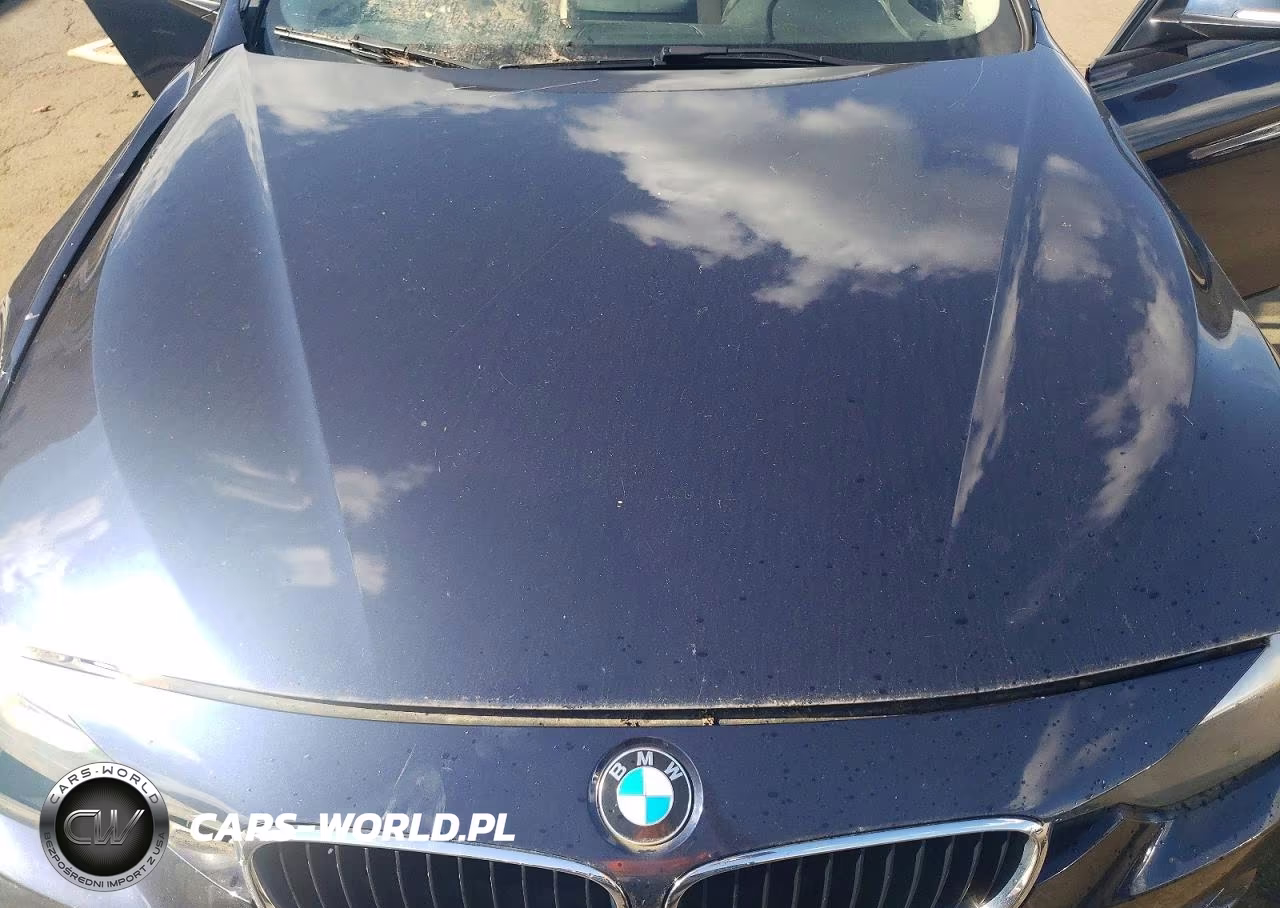2013 BMW 328 Xi Sulev VIN:WBA3B5G5XDNS02551 - 11