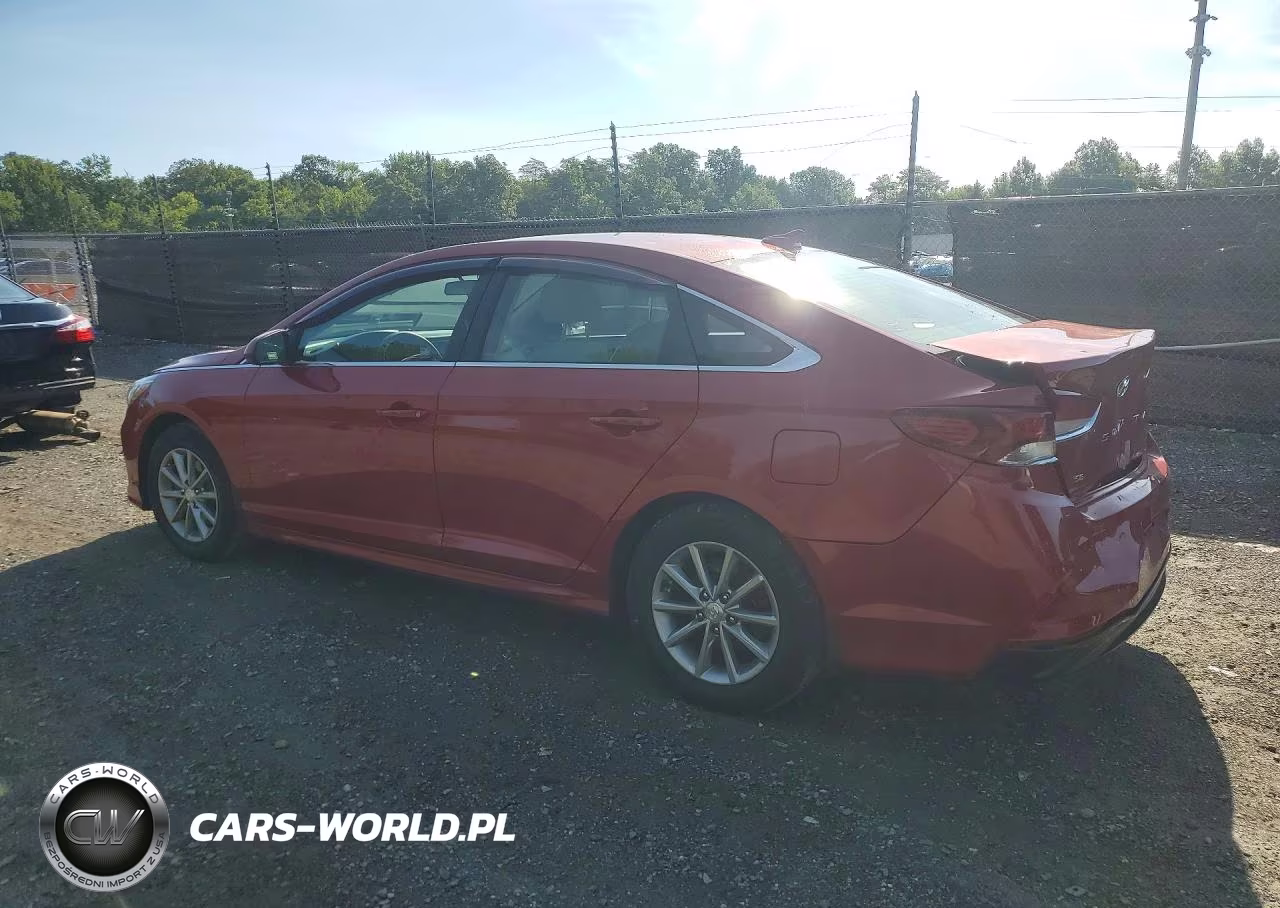 2019 Hyundai Sonata Se VIN:5NPE24AF9KH815362 - 2