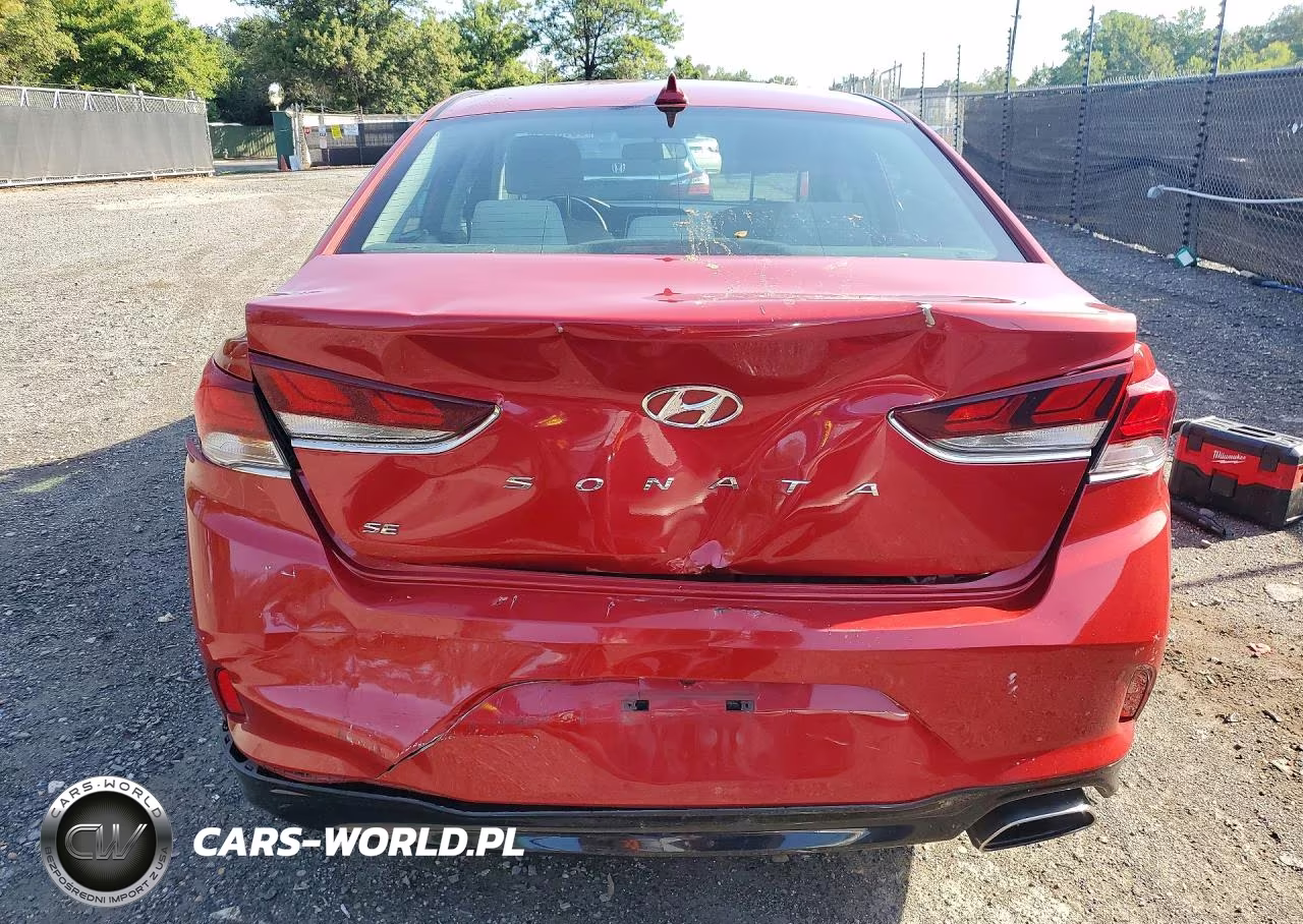 2019 Hyundai Sonata Se VIN:5NPE24AF9KH815362 - 6