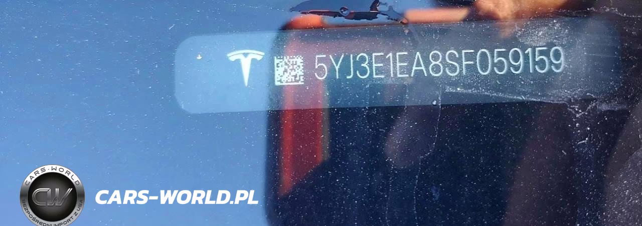 2025 Tesla Model 3 VIN:5YJ3E1EA8SF059159 - 12