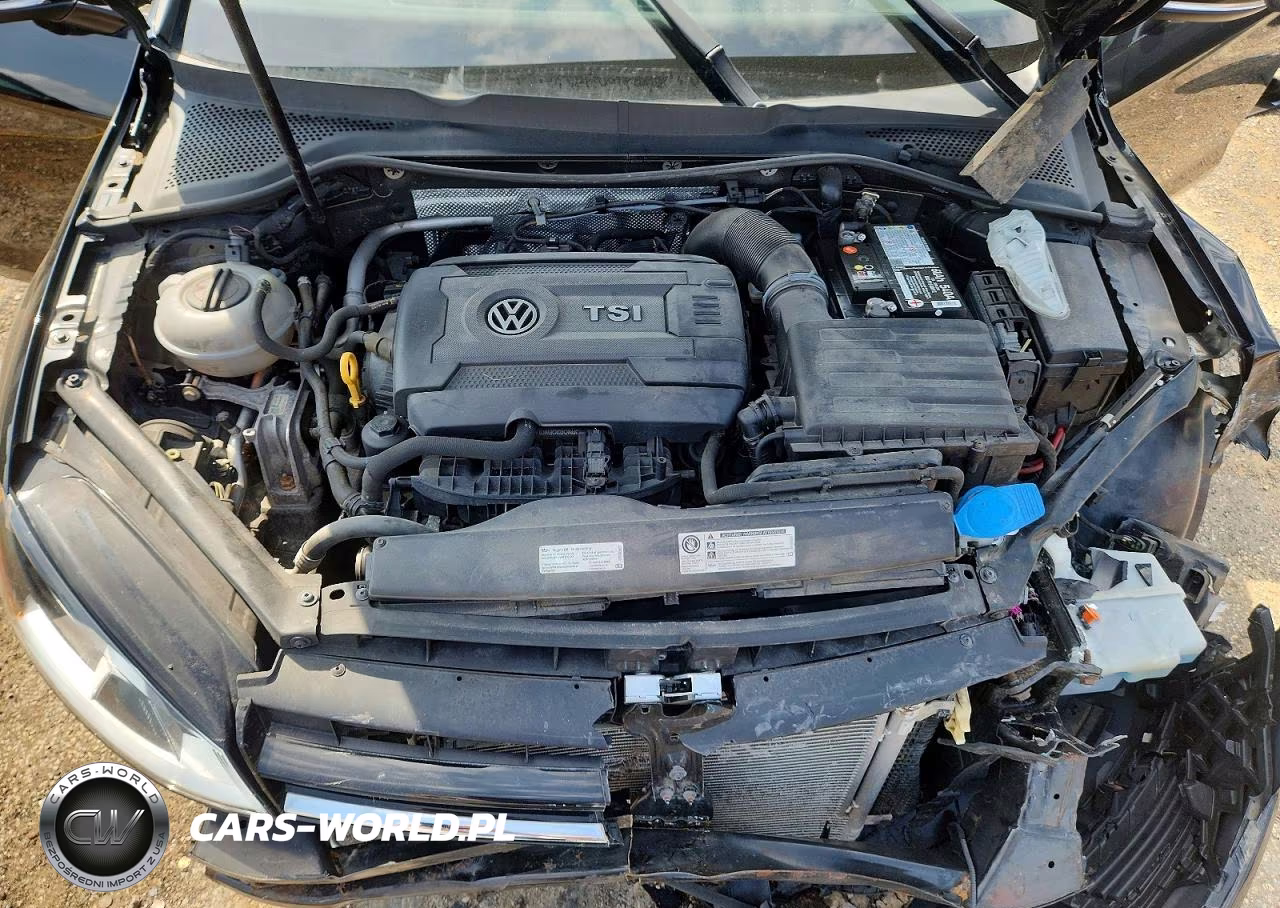 2016 Volkswagen Golf Sportwagen S VIN:3VWC17AU3GM518533 - 11