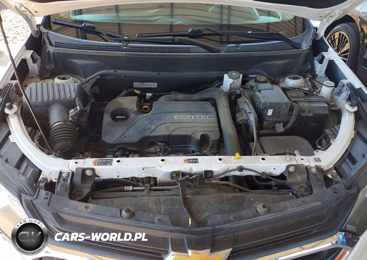 2019 Chevrolet Equinox Lt VIN:2GNAXUEV1K6301454 - 11