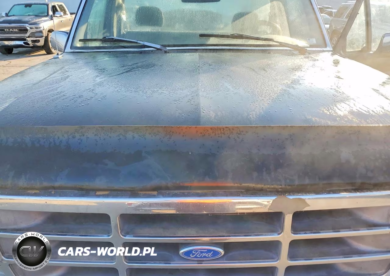 1994 Ford F150 VIN:1FTEF14H4RLB02214 - 11
