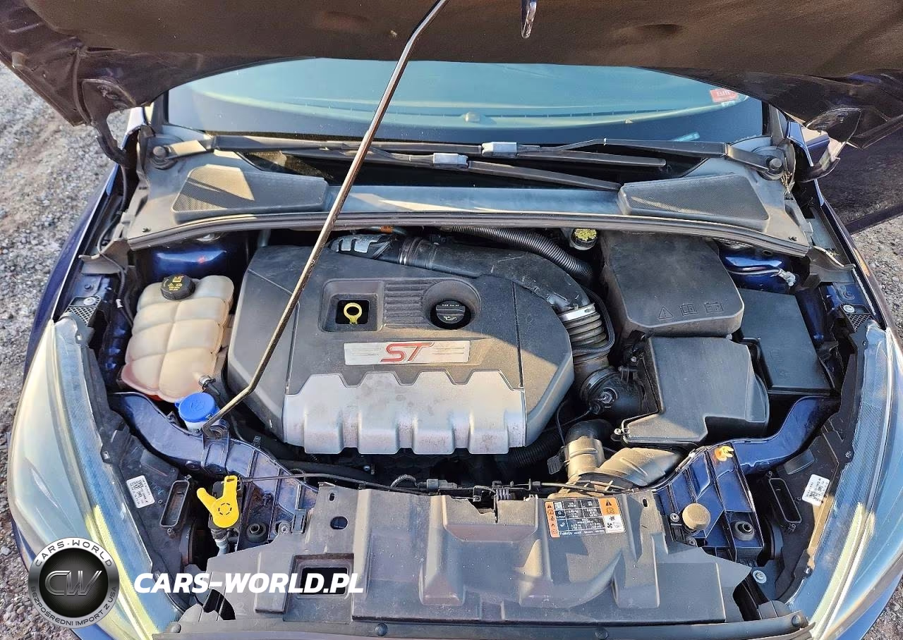 2017 Ford Focus St VIN:1FADP3L90HL319665 - 11