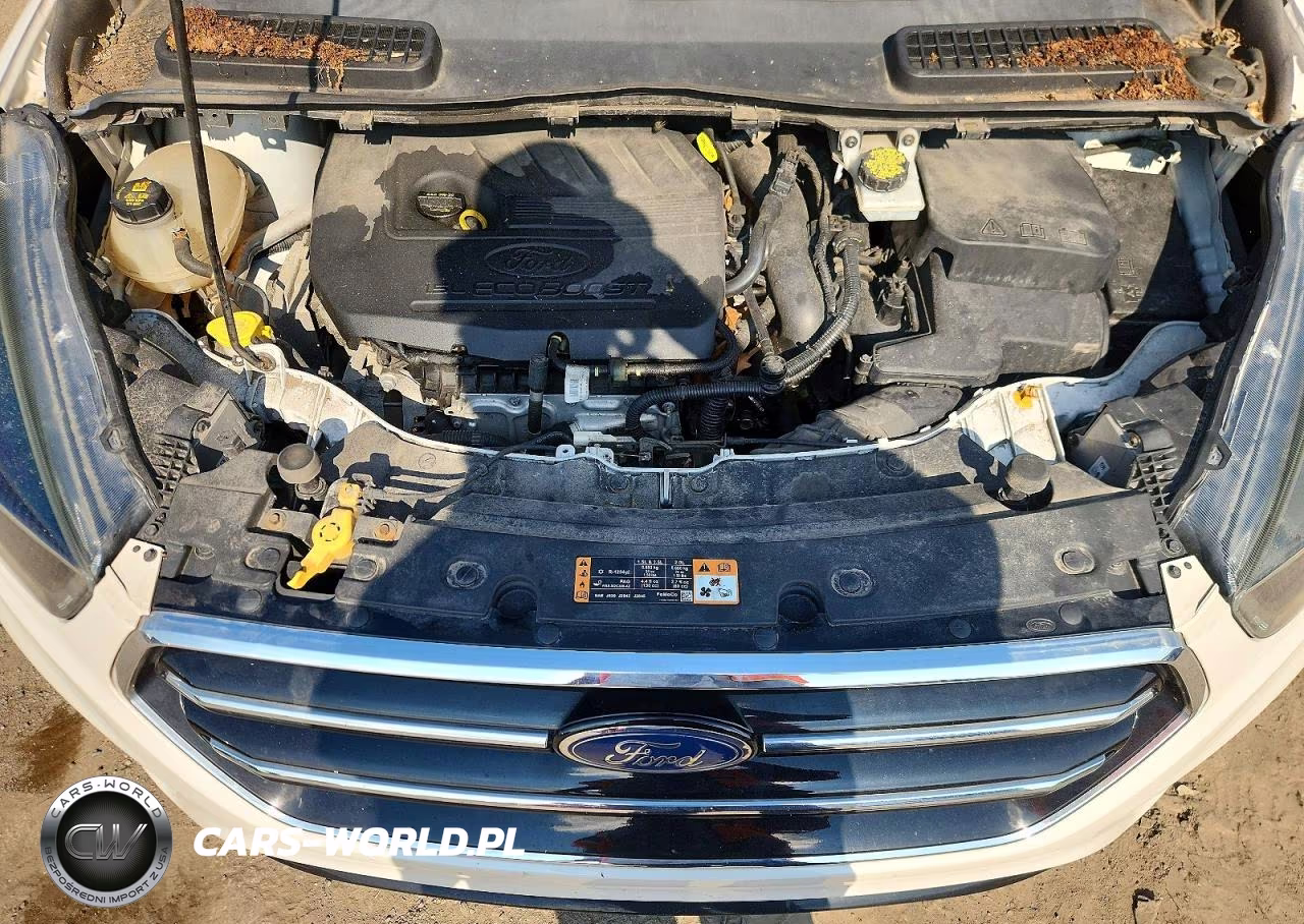 2017 Ford Escape Se VIN:1FMCU0GDXHUB50157 - 11