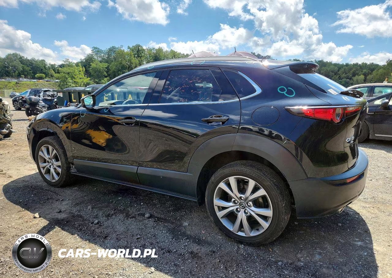 2021 Mazda Cx-30 Premium VIN:3MVDMBDM6MM220503 - 2