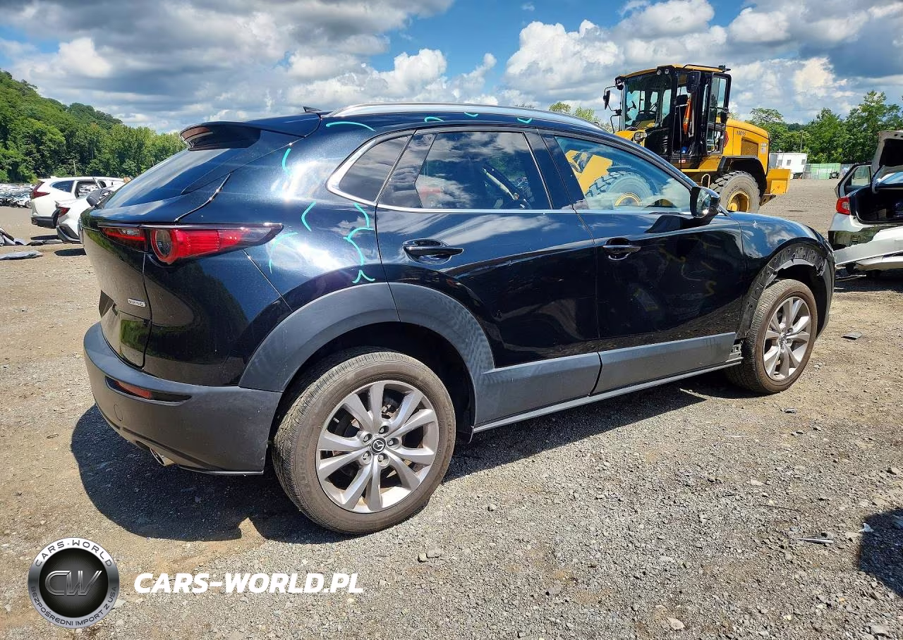 2021 Mazda Cx-30 Premium VIN:3MVDMBDM6MM220503 - 3