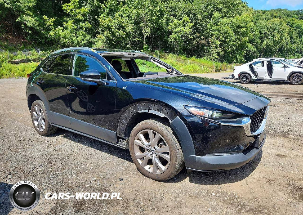 2021 Mazda Cx-30 Premium VIN:3MVDMBDM6MM220503 - 4