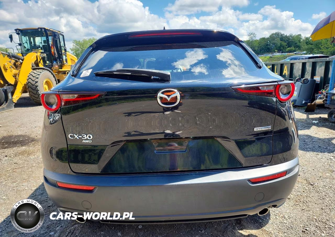2021 Mazda Cx-30 Premium VIN:3MVDMBDM6MM220503 - 6