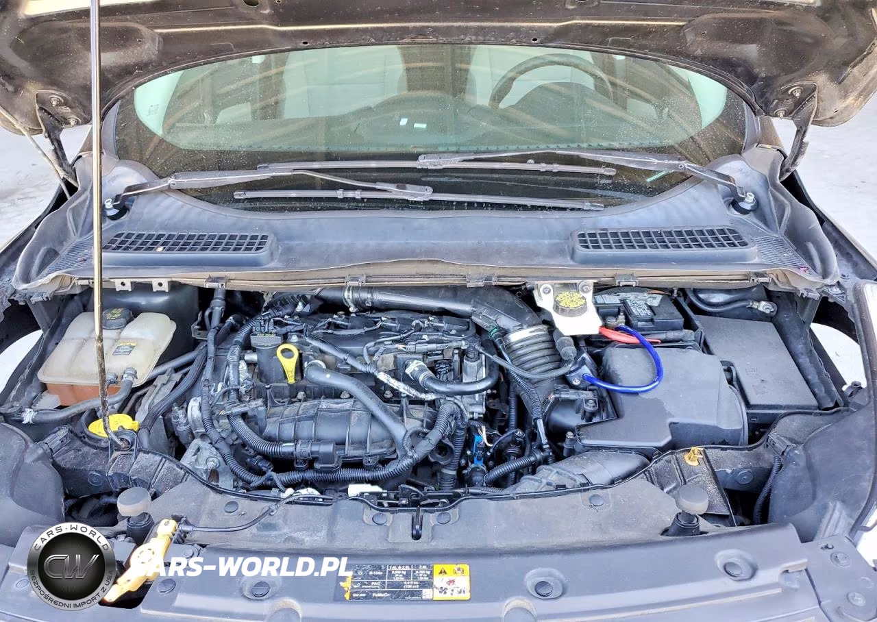 2013 Ford Escape Se VIN:1FMCU0GX8DUB40277 - 12