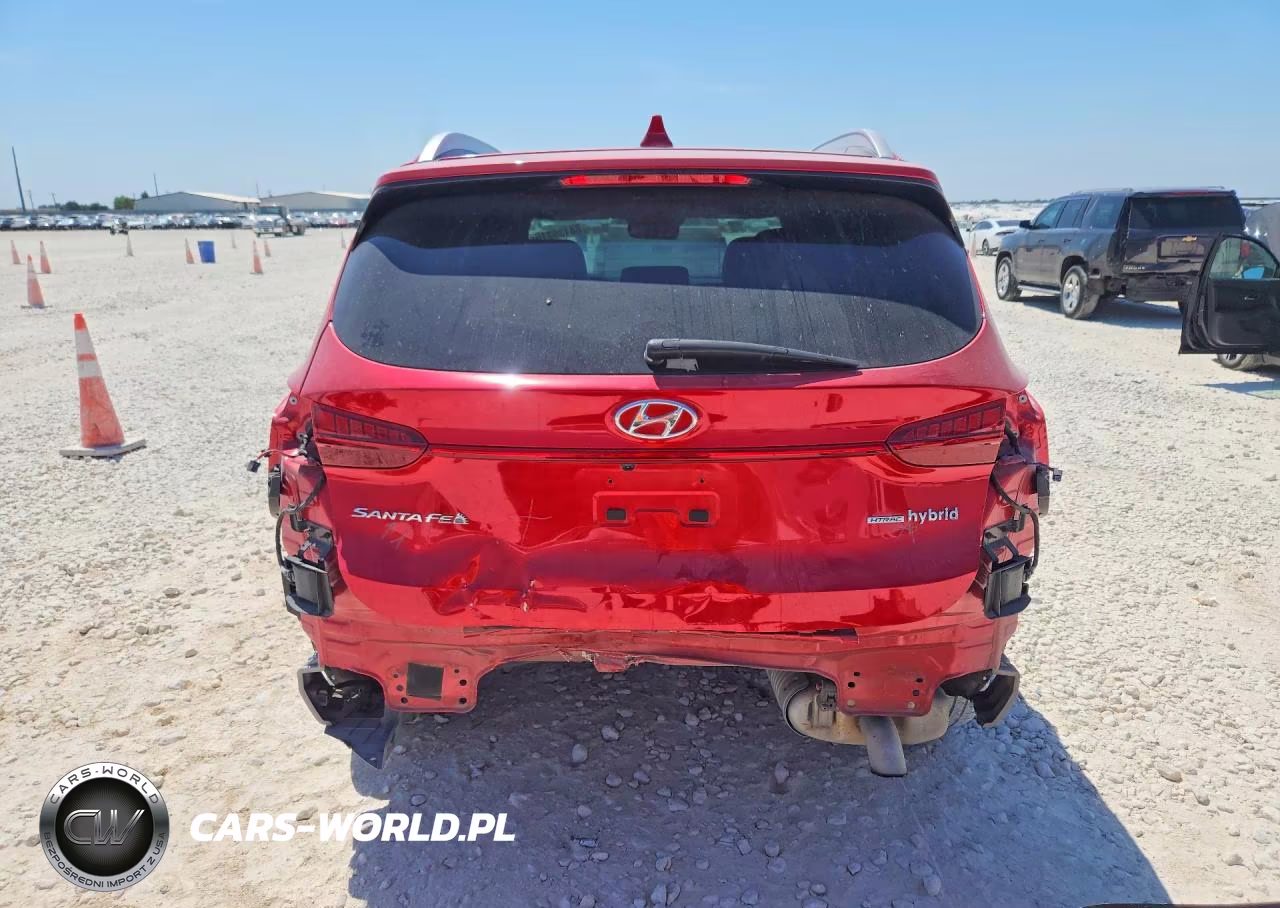 2023 Hyundai Santa Fe Limited VIN:5NMS5DA12PH012346 - 6