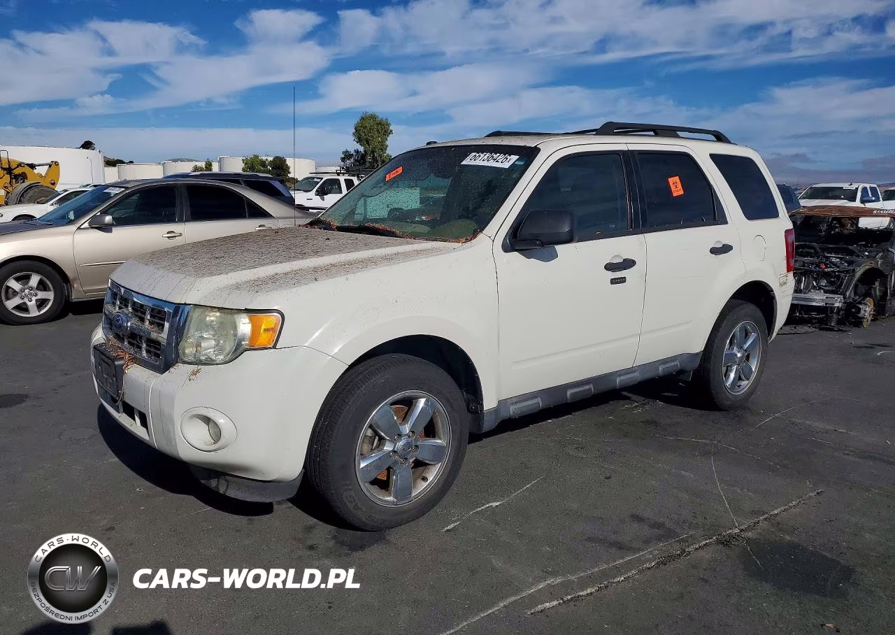 2011 Ford Escape Xlt