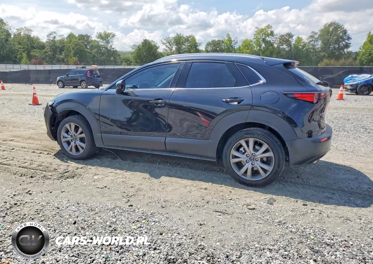 2022 Mazda Cx-30 Premium VIN:3MVDMBDLXNM407655 - 2