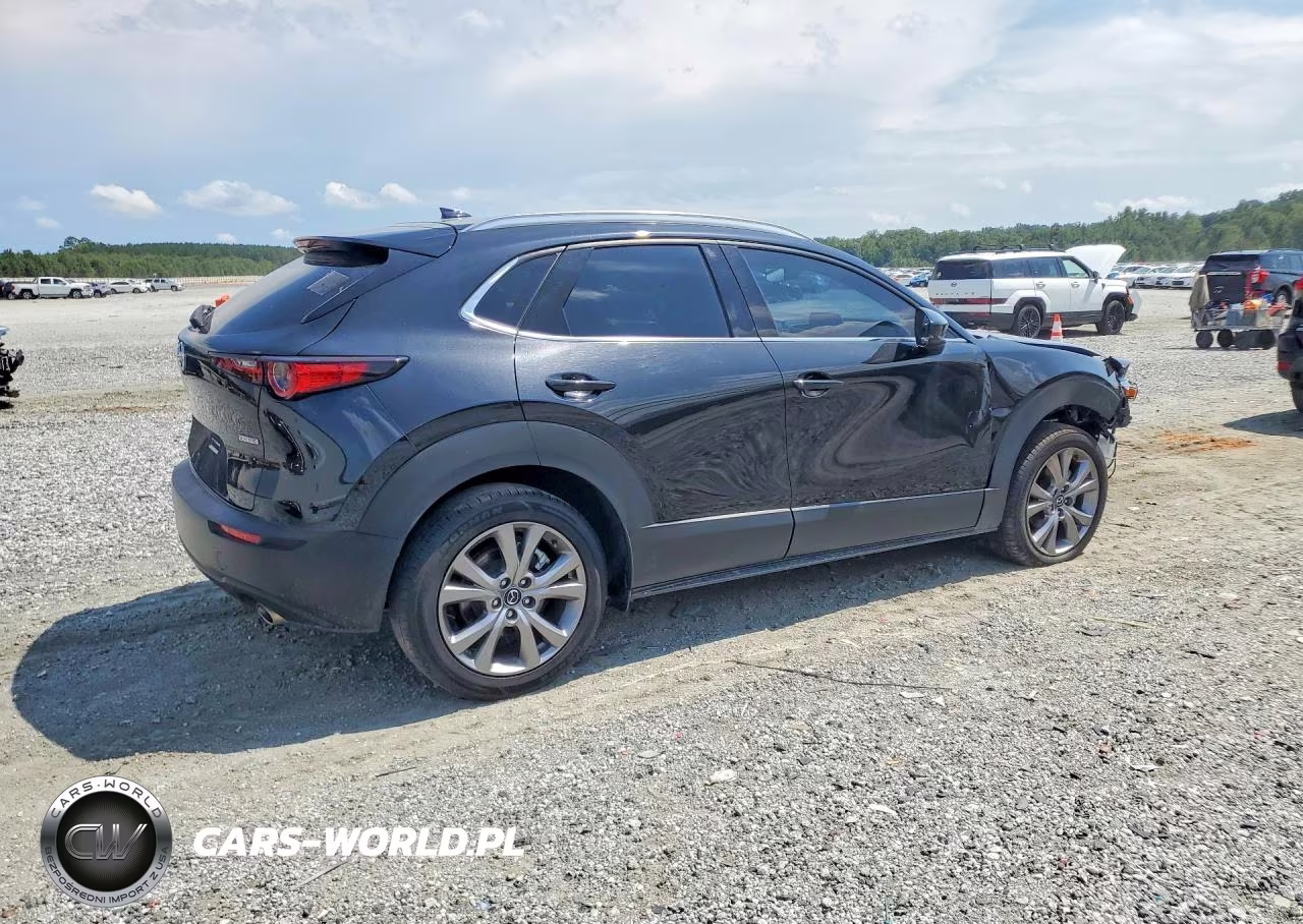 2022 Mazda Cx-30 Premium VIN:3MVDMBDLXNM407655 - 3