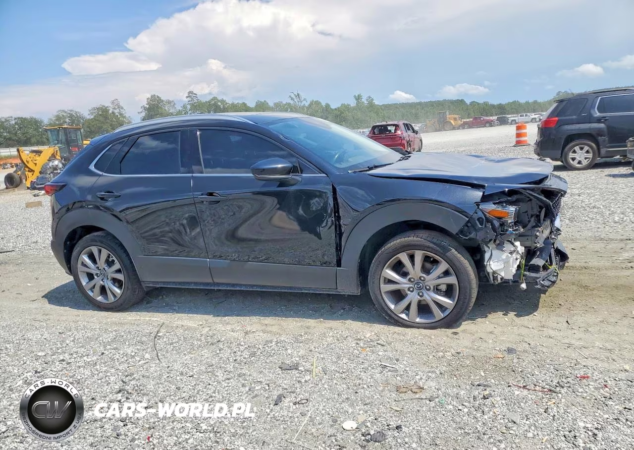 2022 Mazda Cx-30 Premium VIN:3MVDMBDLXNM407655 - 4