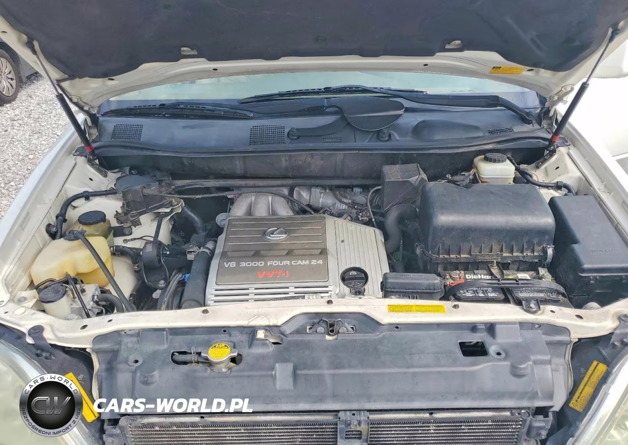 2002 Lexus Rx 300 VIN:JTJGF10U920131708 - 12