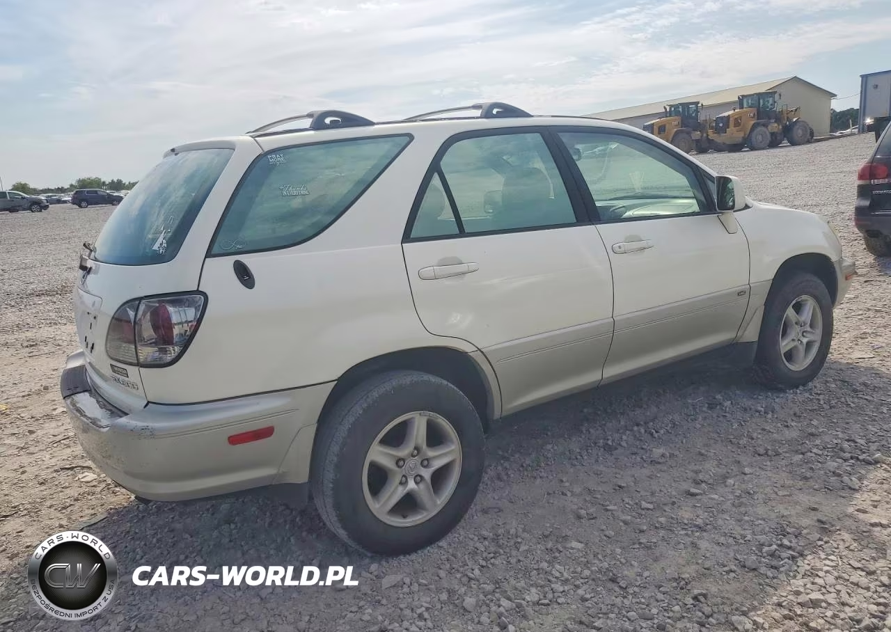 2002 Lexus Rx 300 VIN:JTJGF10U920131708 - 3