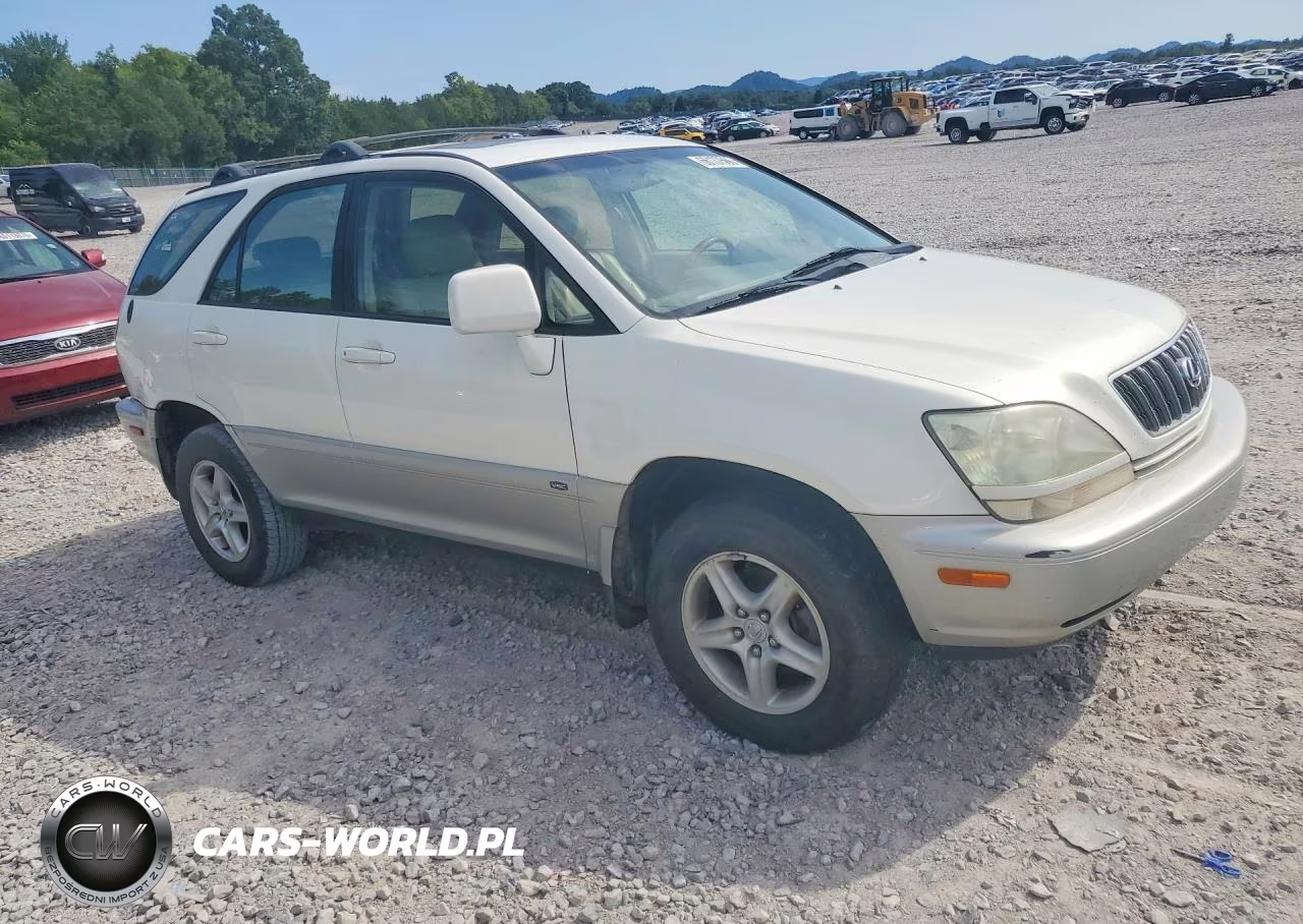 2002 Lexus Rx 300 VIN:JTJGF10U920131708 - 4