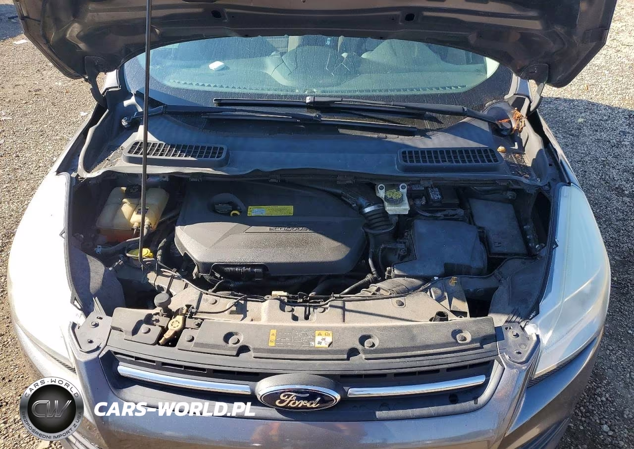 2013 Ford Escape Se VIN:1FMCU0GX7DUB38021 - 12