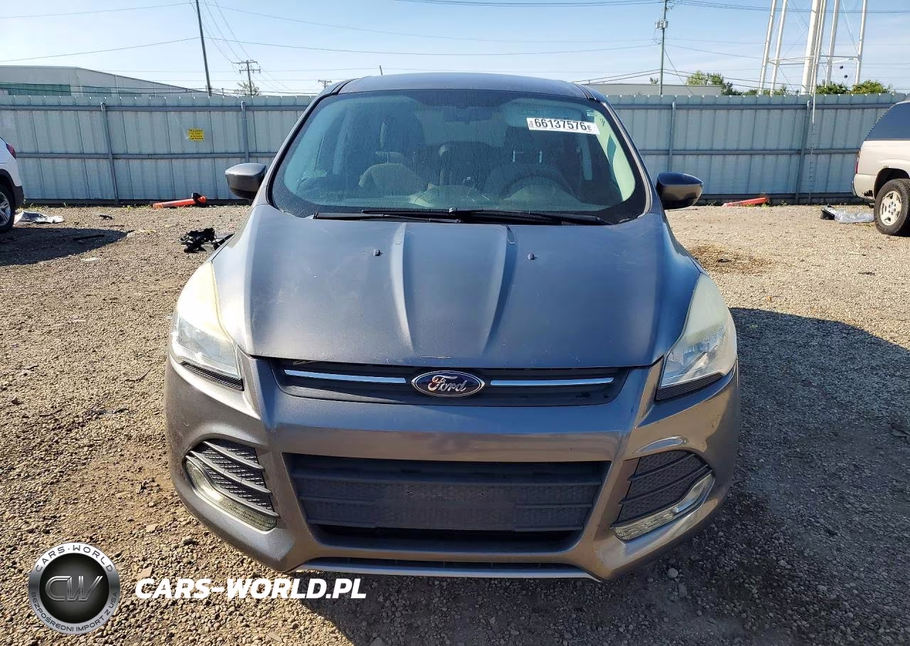 2013 Ford Escape Se VIN:1FMCU0GX7DUB38021 - 5