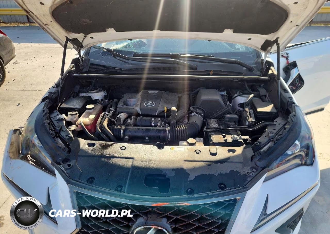 2021 Lexus Nx 300 F Sport VIN:JTJSARBZ5M2192559 - 12