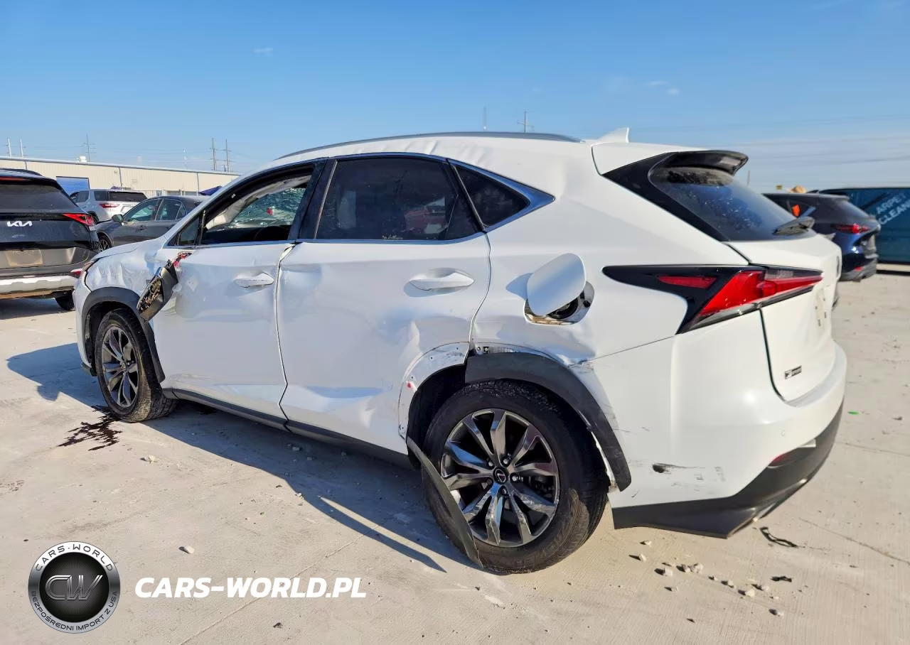 2021 Lexus Nx 300 F Sport VIN:JTJSARBZ5M2192559 - 2