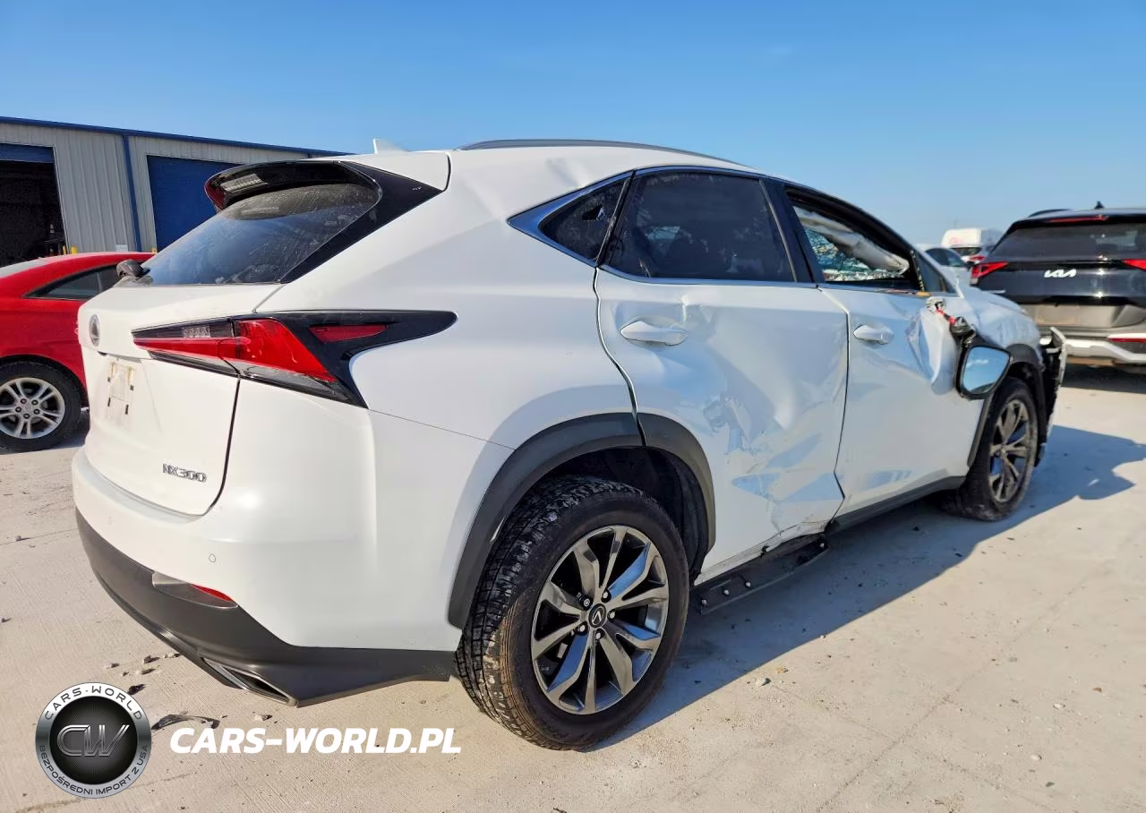 2021 Lexus Nx 300 F Sport VIN:JTJSARBZ5M2192559 - 3