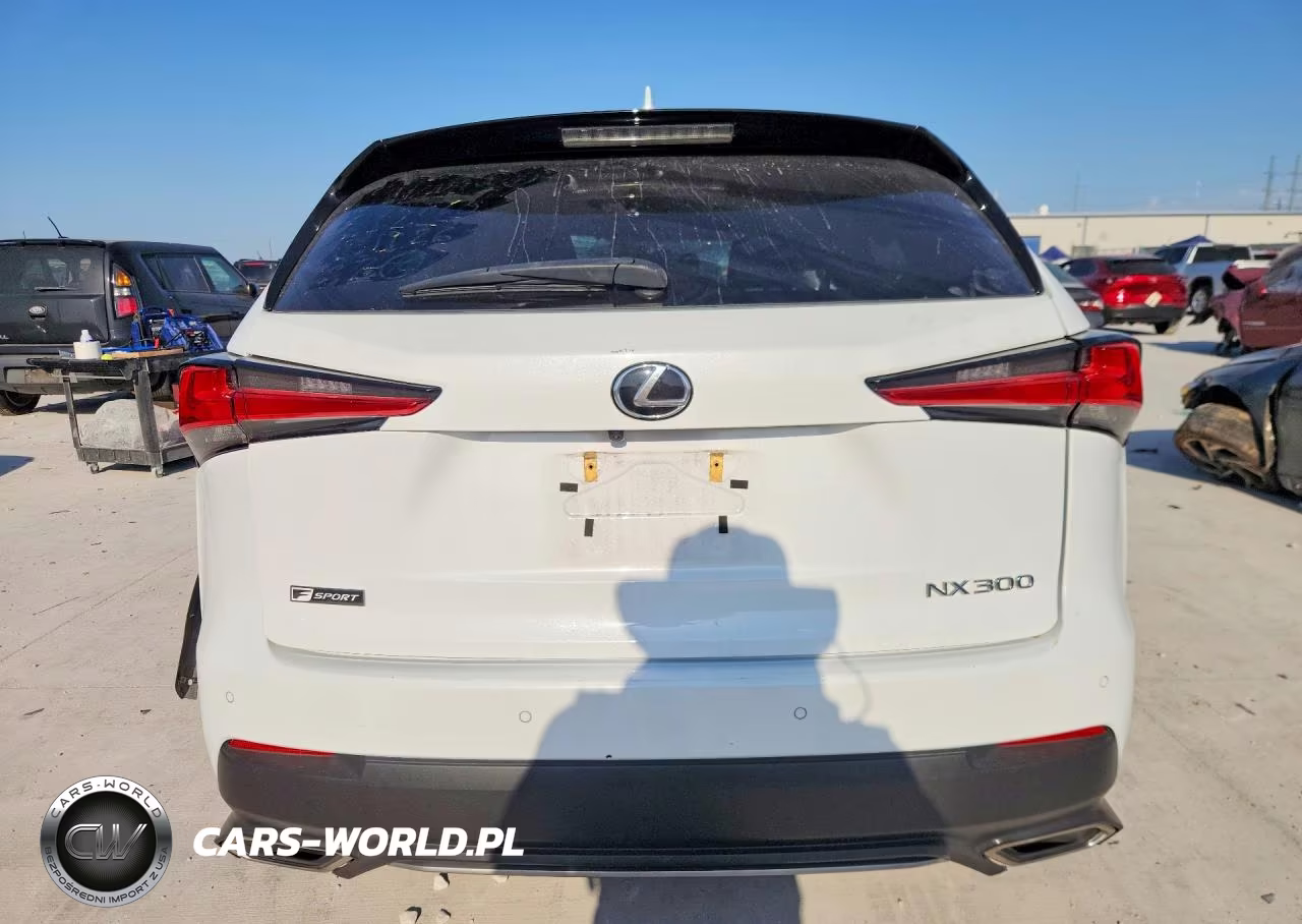 2021 Lexus Nx 300 F Sport VIN:JTJSARBZ5M2192559 - 6