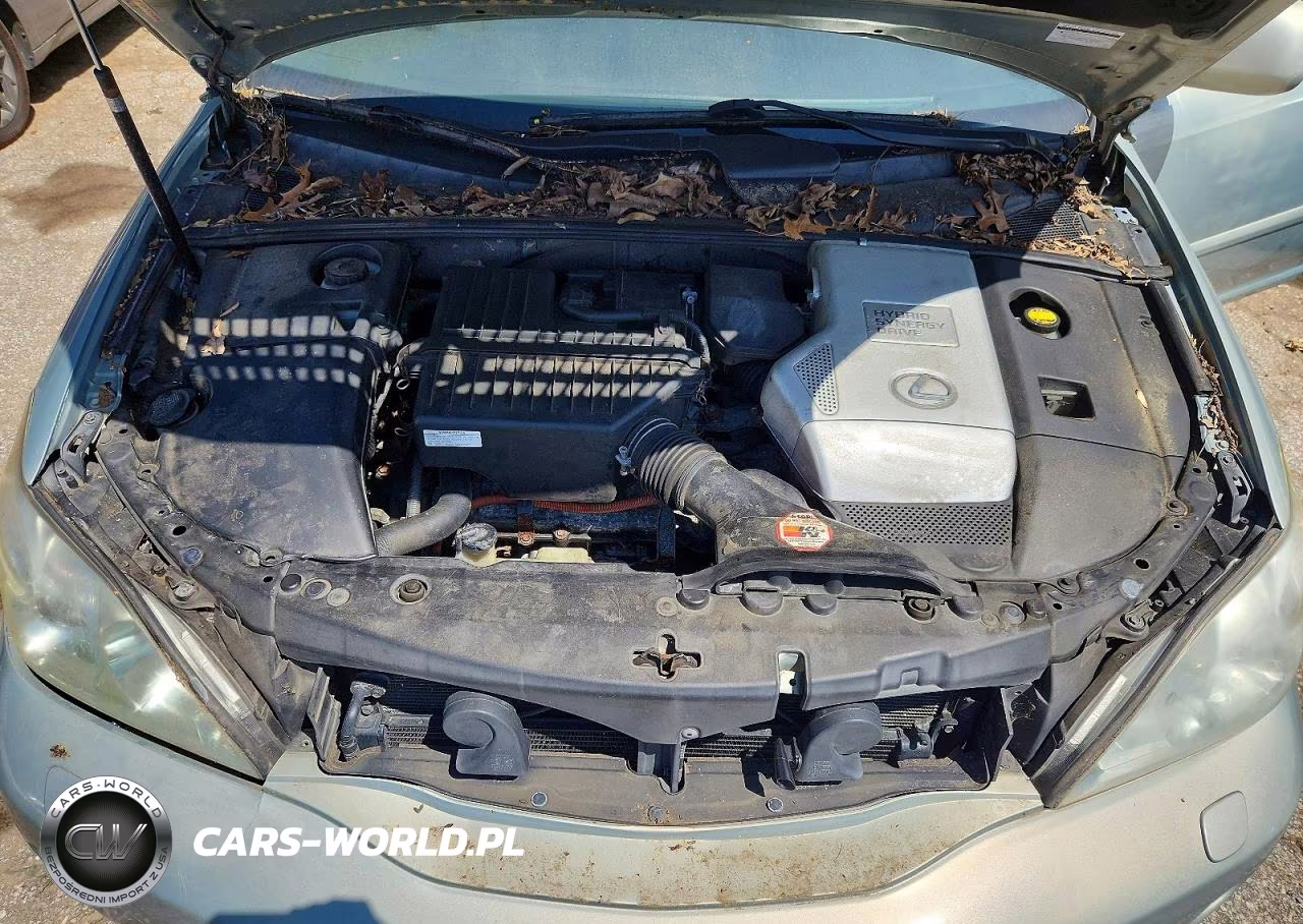 2006 Lexus Rx 400 VIN:JTJHW31U162006713 - 11