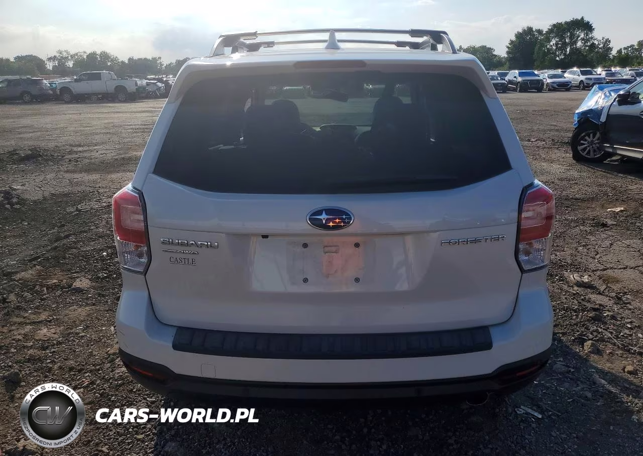 2018 Subaru Forester 2.5I Touring VIN:JF2SJAWC1JH462410 - 6
