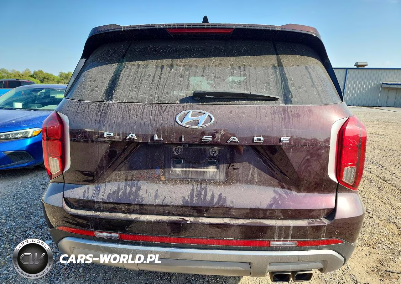 2024 Hyundai Palisade Sel Premium VIN:KM8R44GE1RU728982 - 6