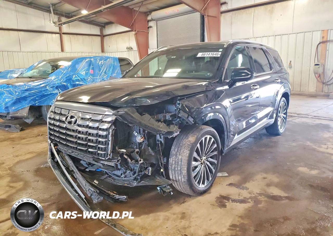 2025 Hyundai Palisade Calligraphy VIN:KM8R7DGE0SU825569 - 1