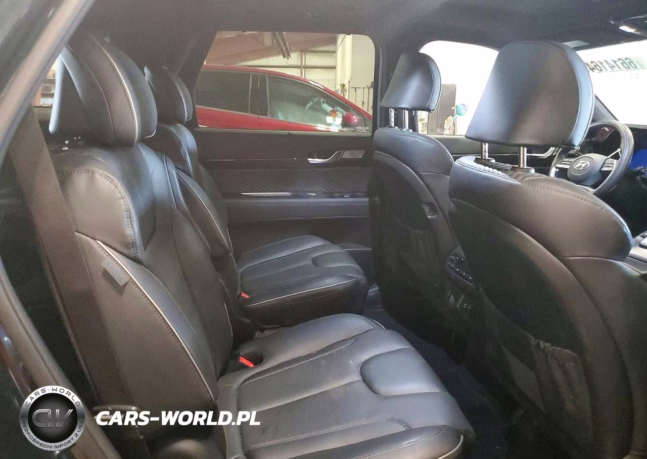 2025 Hyundai Palisade Calligraphy VIN:KM8R7DGE0SU825569 - 10