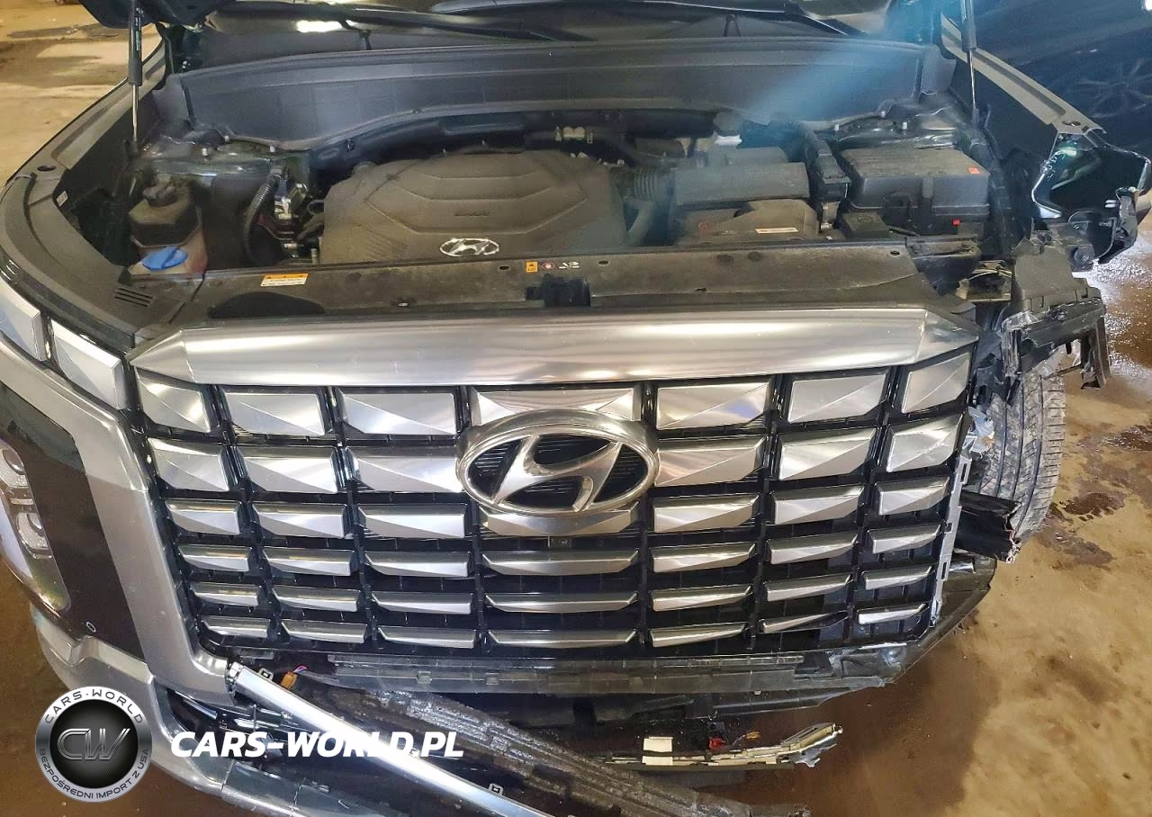 2025 Hyundai Palisade Calligraphy VIN:KM8R7DGE0SU825569 - 11