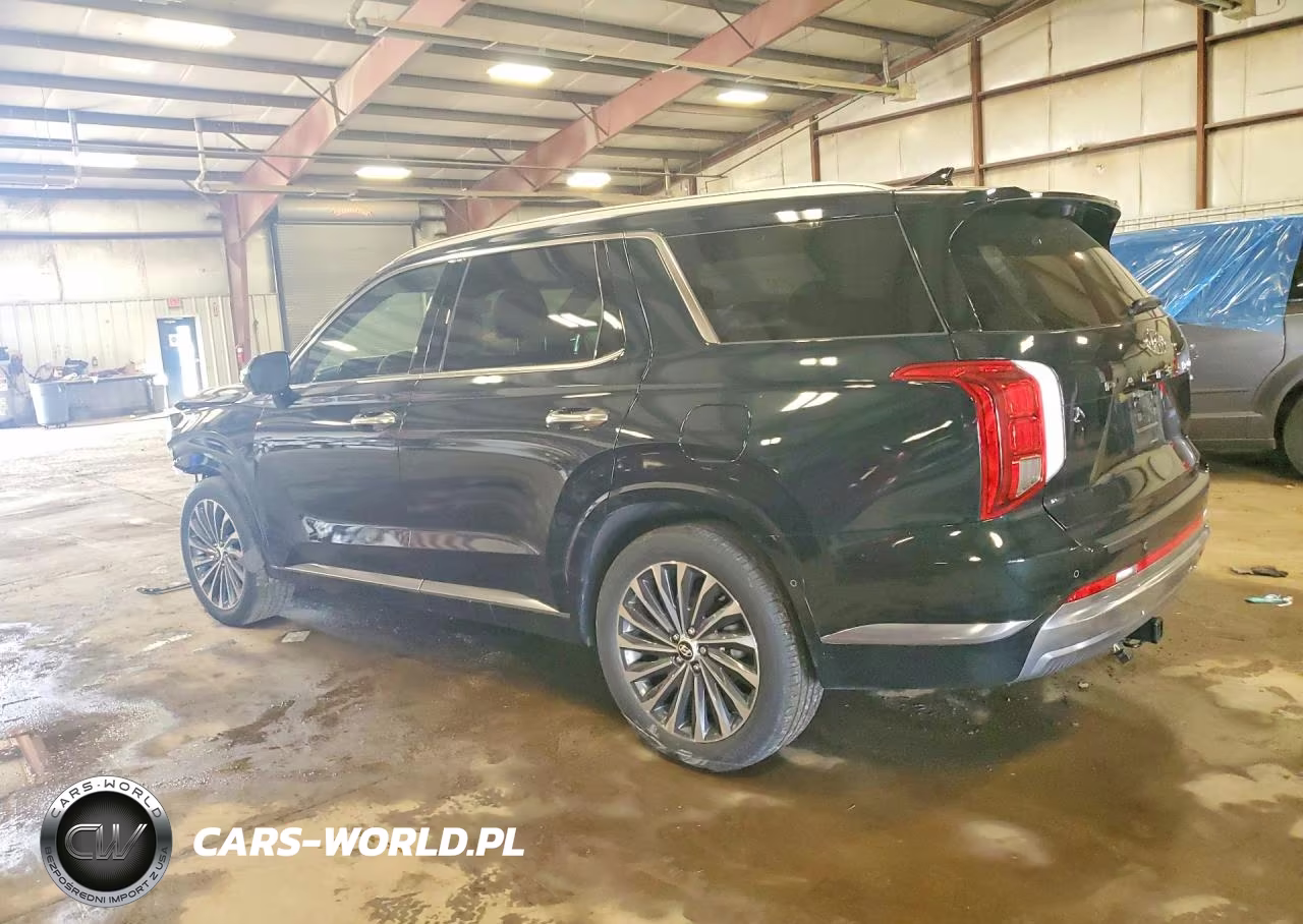 2025 Hyundai Palisade Calligraphy VIN:KM8R7DGE0SU825569 - 2
