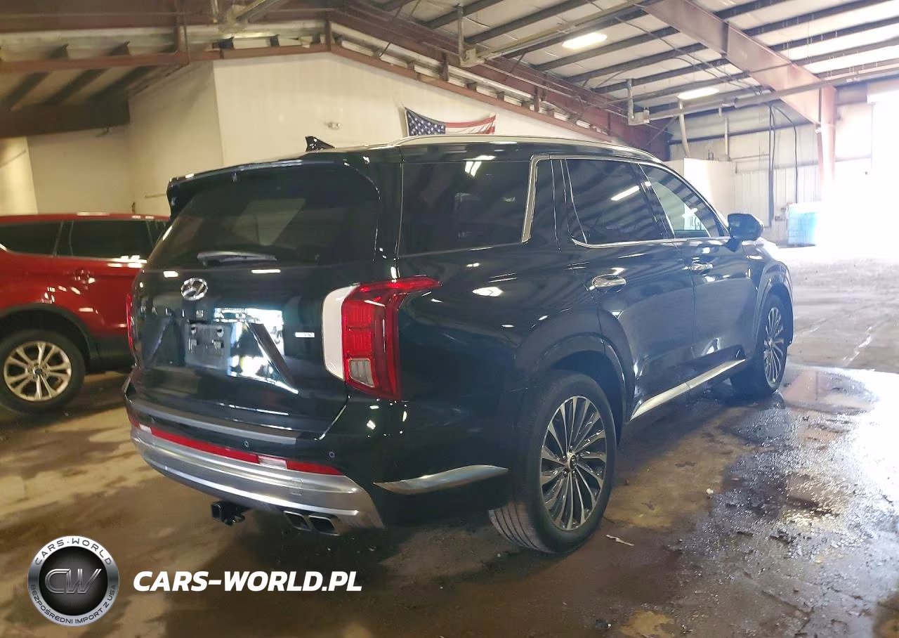 2025 Hyundai Palisade Calligraphy VIN:KM8R7DGE0SU825569 - 3