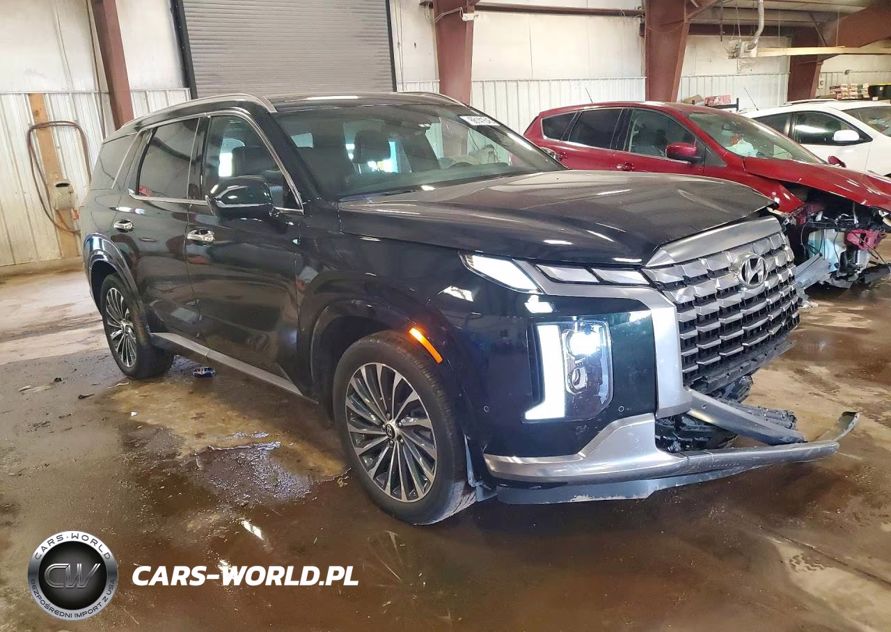2025 Hyundai Palisade Calligraphy VIN:KM8R7DGE0SU825569 - 4