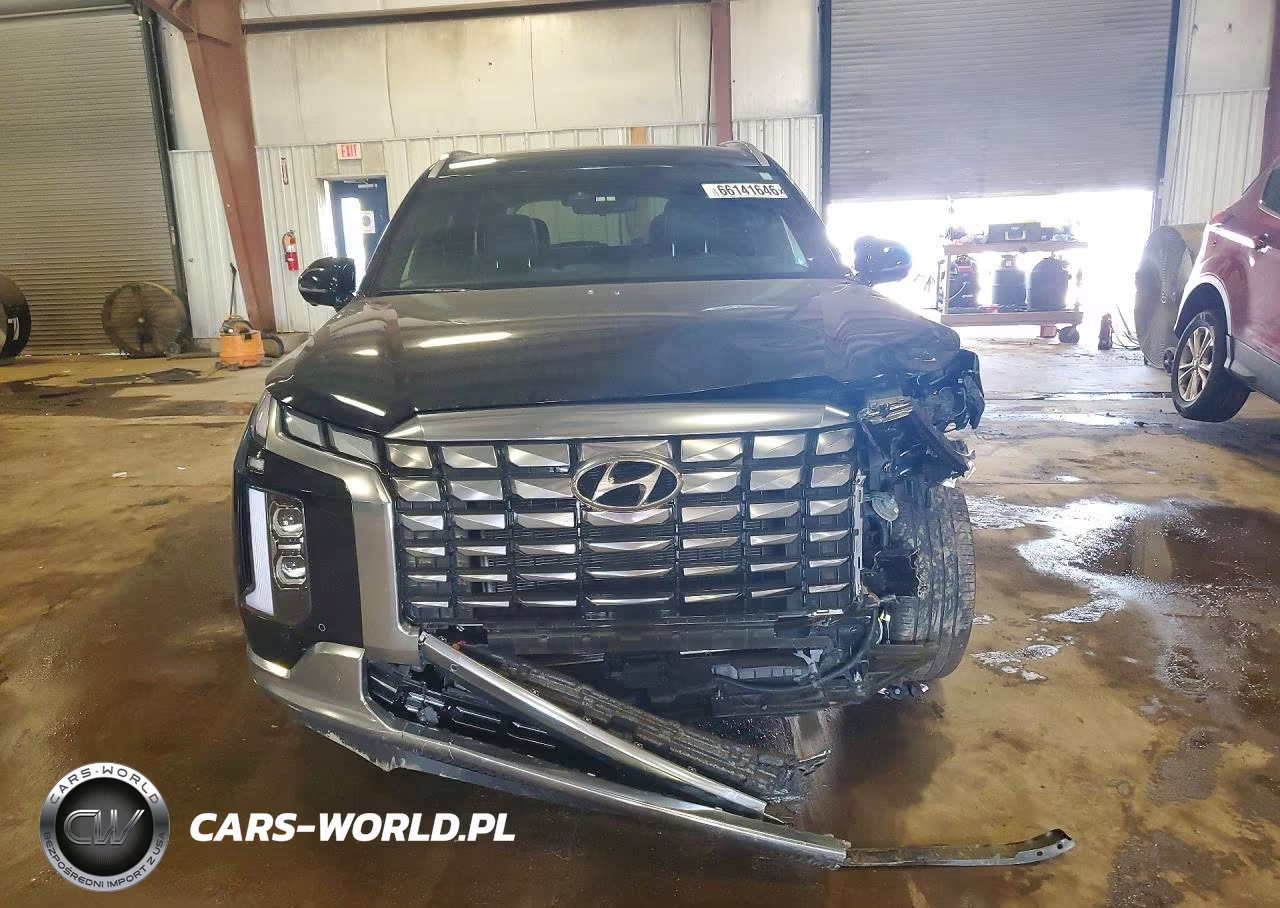 2025 Hyundai Palisade Calligraphy VIN:KM8R7DGE0SU825569 - 5