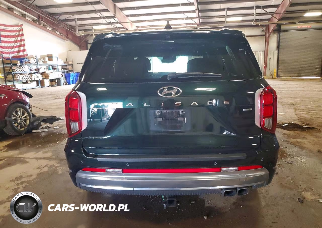 2025 Hyundai Palisade Calligraphy VIN:KM8R7DGE0SU825569 - 6