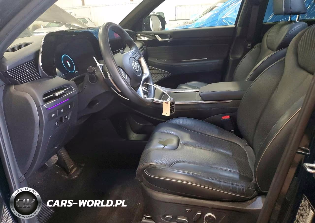 2025 Hyundai Palisade Calligraphy VIN:KM8R7DGE0SU825569 - 7