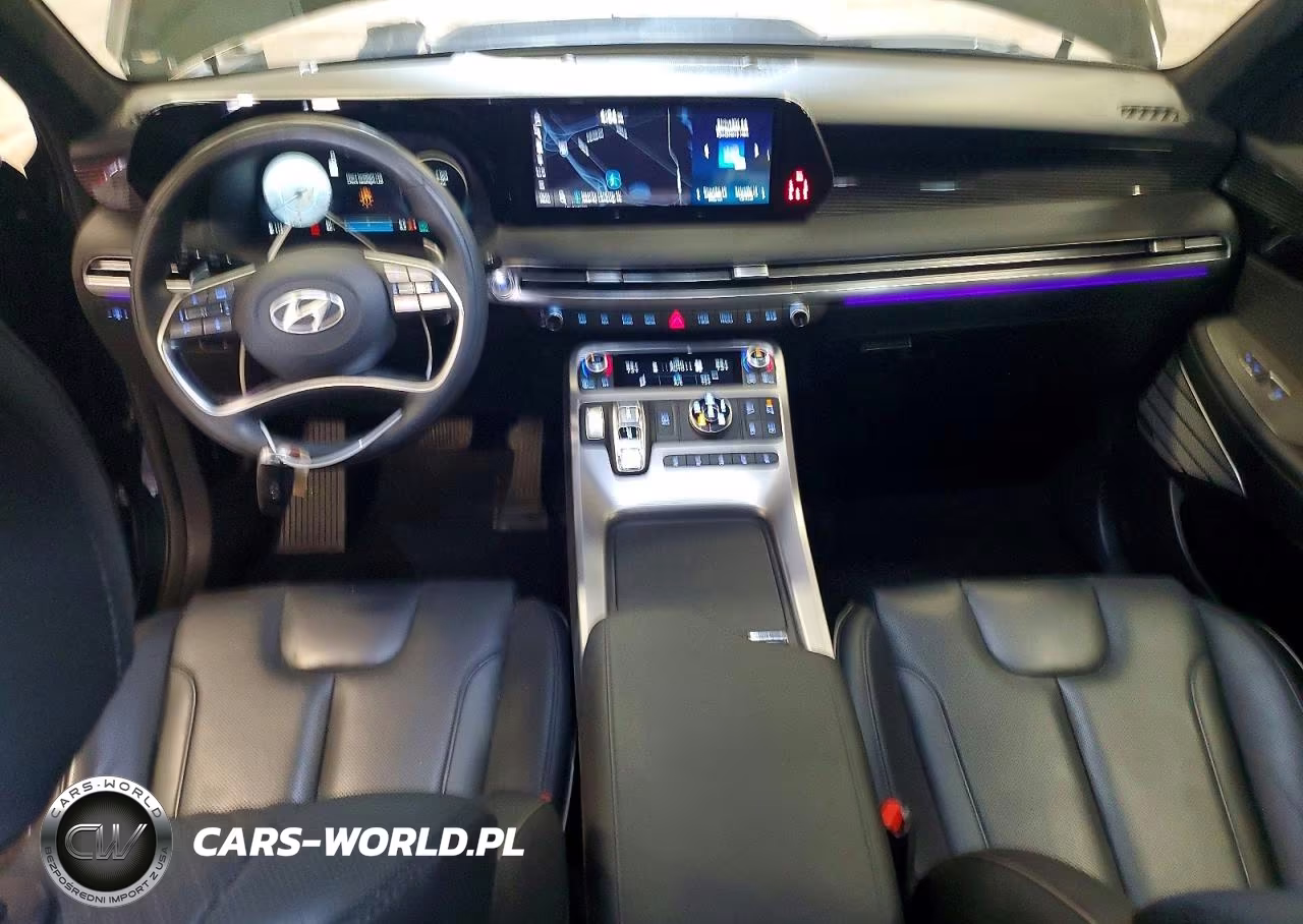2025 Hyundai Palisade Calligraphy VIN:KM8R7DGE0SU825569 - 8