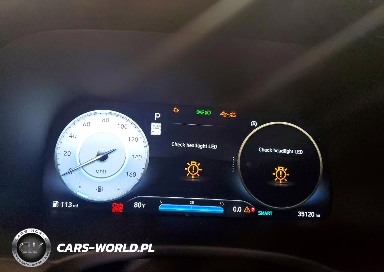 2025 Hyundai Palisade Calligraphy VIN:KM8R7DGE0SU825569 - 9
