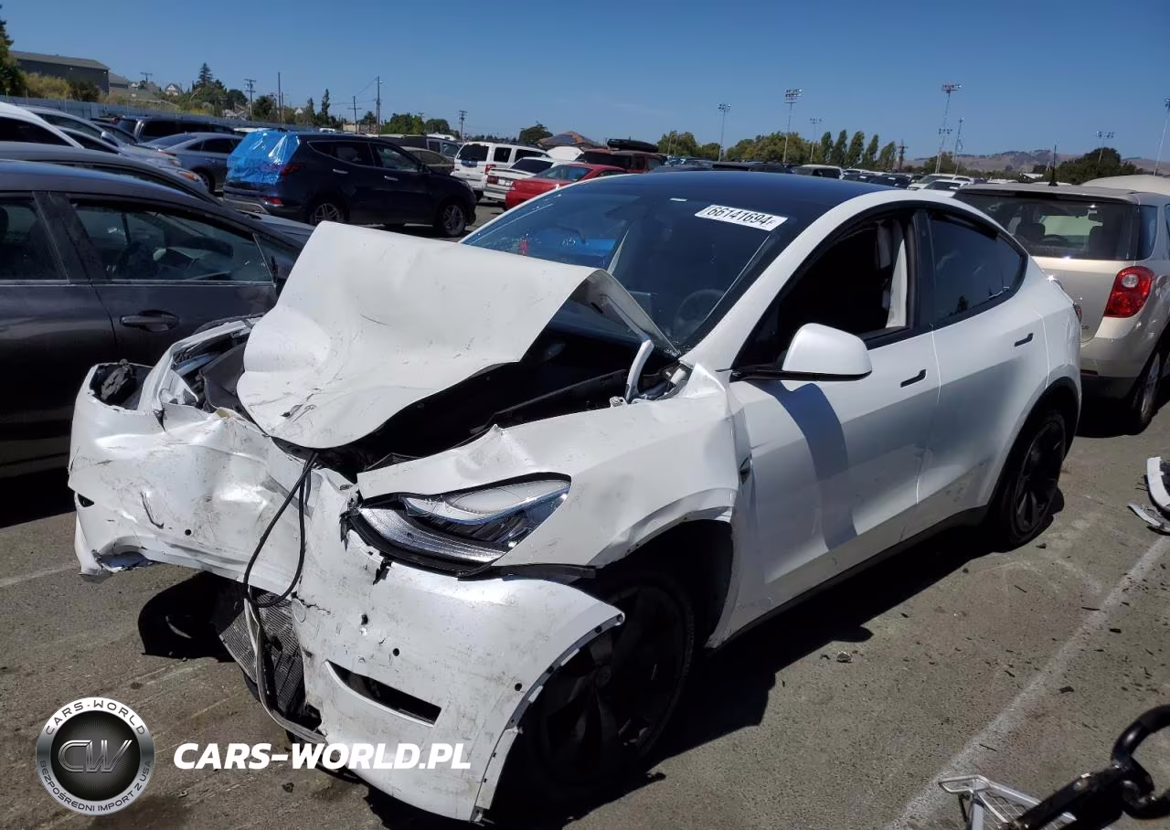2020 Tesla Model Y