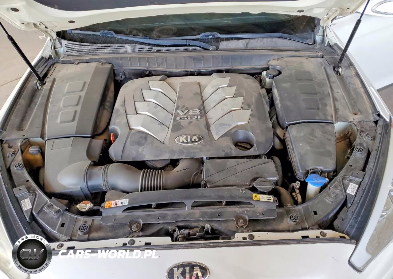 2015 Kia K900 Luxury VIN:KNALW4D43F6022626 - 11