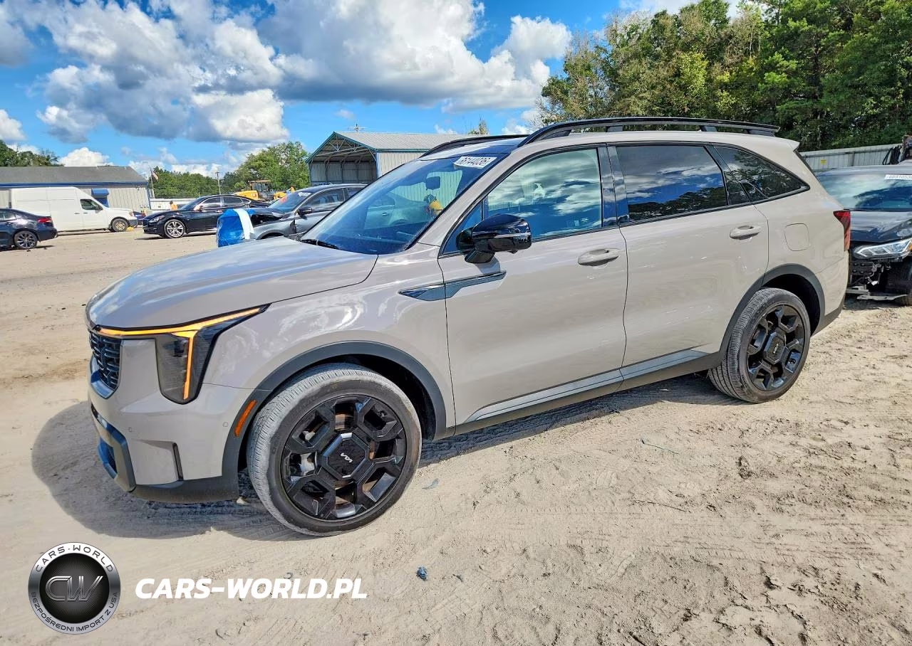 2024 Kia Sorento X-Line Sx Prestige VIN:5XYRKDJF9RG264613 - 1